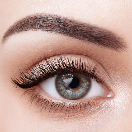 Brow+Shape